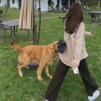 爱之奇迹